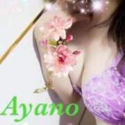 ヒメ日記 2025/10/29 15:59 投稿 四宮 綾乃 カサノヴァ