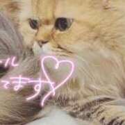 四宮 綾乃 １２月もよろしくお願いします カサノヴァ