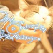 ヒメ日記 2026/05/07 09:09 投稿 四宮 綾乃 カサノヴァ