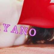 ヒメ日記 2026/06/11 14:39 投稿 四宮 綾乃 カサノヴァ