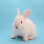 ヒメ日記 2025/05/08 22:33 投稿 りり 丸妻 厚木店