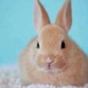 ヒメ日記 2025/05/10 23:48 投稿 りり 丸妻 厚木店