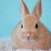 ヒメ日記 2025/11/29 23:49 投稿 りり 丸妻 厚木店