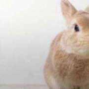 ヒメ日記 2026/05/01 23:53 投稿 りり モアグループ丸妻厚木店
