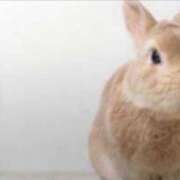 ヒメ日記 2026/05/07 00:03 投稿 りり モアグループ丸妻厚木店