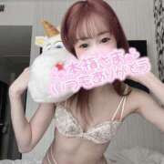 ヒメ日記 2025/02/09 22:01 投稿 舞白のん Mrs. Dandy Shibuya