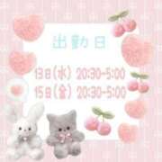 ヒメ日記 2025/02/04 23:08 投稿 舞白のん Mrs. Dandy Shinjuku