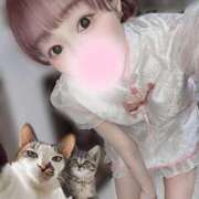 ヒメ日記 2025/02/18 21:01 投稿 舞白のん Mrs. Dandy Shinjuku