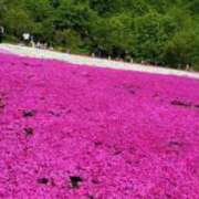 ヒメ日記 2025/04/20 15:09 投稿 舞白のん Mrs. Dandy Shinjuku