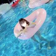 ヒメ日記 2025/08/23 22:42 投稿 舞白のん Mrs.Dandy Kinshicho