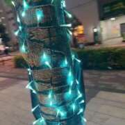 ヒメ日記 2024/12/29 23:51 投稿 舞白のん Mrs. Dandy shinagawa