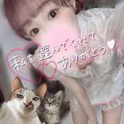 ヒメ日記 2025/02/25 05:51 投稿 舞白のん Mrs. Dandy shinagawa