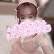 ヒメ日記 2025/03/31 00:30 投稿 舞白のん Mrs. Dandy shinagawa