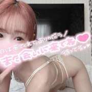 ヒメ日記 2025/03/22 07:41 投稿 舞白のん Mrs. Dandy