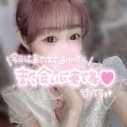 ヒメ日記 2025/04/12 06:41 投稿 舞白のん Mrs. Dandy