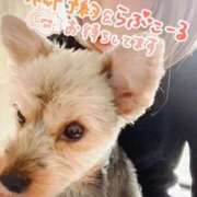 ヒメ日記 2025/01/04 12:51 投稿 かぐら 熟女の風俗最終章 本厚木店