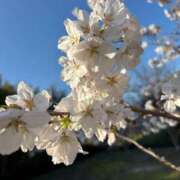 ヒメ日記 2026/04/03 16:57 投稿 空岡【人妻コース】 CLUB CANDY（鳥栖店）