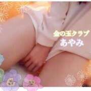 ヒメ日記 2026/05/24 12:02 投稿 あやみ 金の玉クラブ池袋～密着睾丸マッサージ～