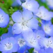 ヒメ日記 2025/03/01 08:38 投稿 れのん 逢って30秒で即尺