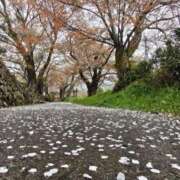 ヒメ日記 2025/04/15 05:37 投稿 れのん 逢って30秒で即尺