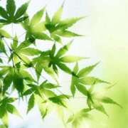 ヒメ日記 2025/04/19 15:57 投稿 れのん 逢って30秒で即尺