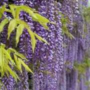 ヒメ日記 2025/04/21 17:42 投稿 れのん 逢って30秒で即尺