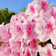 ヒメ日記 2025/04/29 18:29 投稿 れのん 逢って30秒で即尺