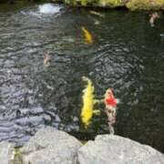 ヒメ日記 2025/05/09 08:36 投稿 れのん 逢って30秒で即尺