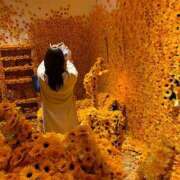 ヒメ日記 2025/05/12 16:48 投稿 れのん 逢って30秒で即尺