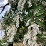 ヒメ日記 2025/05/16 10:23 投稿 れのん 逢って30秒で即尺