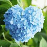 ヒメ日記 2025/05/19 15:58 投稿 れのん 逢って30秒で即尺