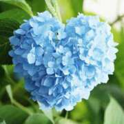 ヒメ日記 2025/06/04 09:29 投稿 れのん 逢って30秒で即尺