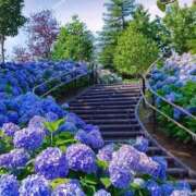 ヒメ日記 2025/06/08 14:41 投稿 れのん 逢って30秒で即尺