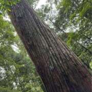 ヒメ日記 2025/06/15 09:19 投稿 れのん 逢って30秒で即尺