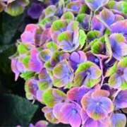 ヒメ日記 2025/06/28 11:45 投稿 れのん 逢って30秒で即尺