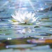 ヒメ日記 2025/07/14 07:11 投稿 れのん 逢って30秒で即尺