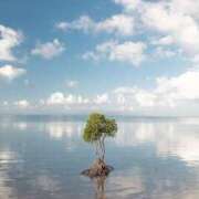 ヒメ日記 2025/07/31 14:49 投稿 れのん 逢って30秒で即尺