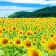 ヒメ日記 2025/08/07 16:12 投稿 れのん 逢って30秒で即尺