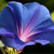 ヒメ日記 2025/08/09 20:05 投稿 れのん 逢って30秒で即尺