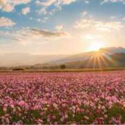 ヒメ日記 2025/09/06 09:10 投稿 れのん 逢って30秒で即尺