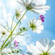 ヒメ日記 2025/09/20 17:34 投稿 れのん 逢って30秒で即尺