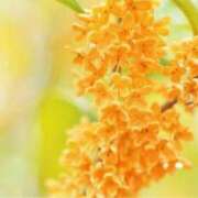 ヒメ日記 2025/09/21 14:23 投稿 れのん 逢って30秒で即尺