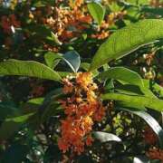 ヒメ日記 2025/10/22 17:50 投稿 れのん 逢って30秒で即尺