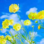 ヒメ日記 2025/11/01 07:21 投稿 れのん 逢って30秒で即尺