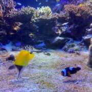 ヒメ日記 2025/11/14 11:56 投稿 れのん 逢って30秒で即尺