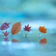 ヒメ日記 2025/11/23 11:43 投稿 れのん 逢って30秒で即尺