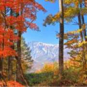 ヒメ日記 2025/11/25 12:46 投稿 れのん 逢って30秒で即尺