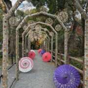 れのん 岡崎仲良しさま? 逢って30秒で即尺