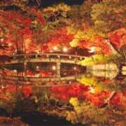 ヒメ日記 2025/12/07 08:48 投稿 れのん 逢って30秒で即尺