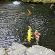 ヒメ日記 2025/12/30 17:18 投稿 れのん 逢って30秒で即尺